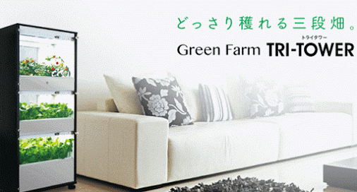 green farm