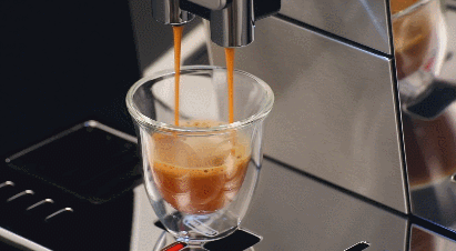 DeLonghi PrimaDonna Elite