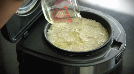 The Crispy Rice Cooker