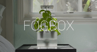 fogbox