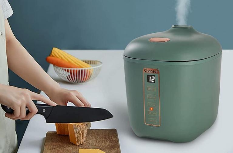 Chaceef Mini Rice Cooker Cooking Gizmos