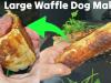 Lumme Waffle Dog Maker Tested