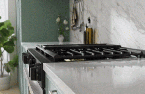 Samsung NX9100D Bespoke Gas Range with Camera, App