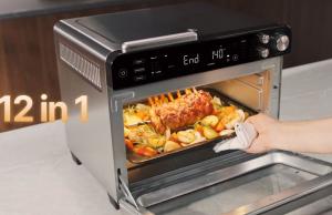 Typhur Sync Oven with Wireless App Smart Meat Thermometer Probe